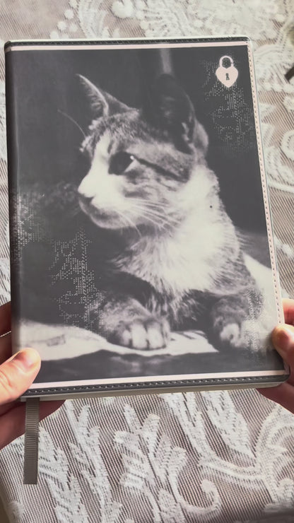 wondering cat journal